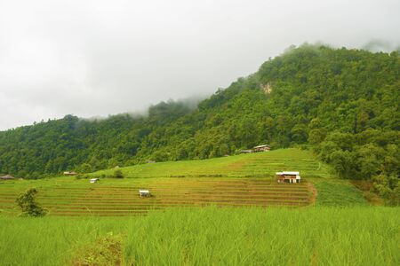Rice terrace at Pa-pong-peang , Mae Chaem, Chaing Mai ,North Thailand..の写真素材
