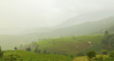 Rice terrace at Pa-pong-peang , Mae Chaem, Chaing Mai ,North Thailand..