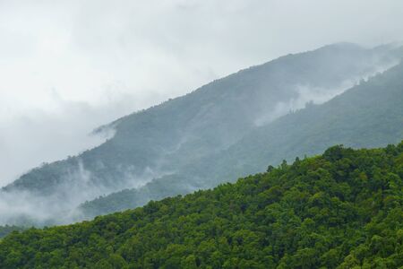 The fog on the mountain after rainの写真素材