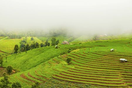 Rice terrace at Pa-pong-peang , Mae Chaem, Chaing Mai ,North Thailand..の写真素材