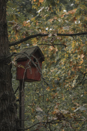 Birdhouse in the autumn forest on a tree