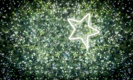 Close-up photos of small light bulbs adorning the Christmas tree for background.の写真素材