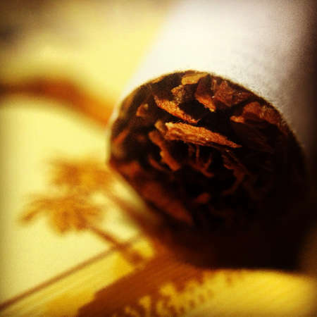 Tobacco up close and personal. 