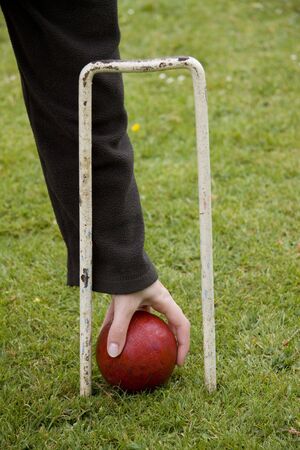 Croquet ball and hoopの写真素材