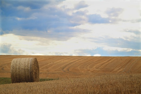 Haystack in a field