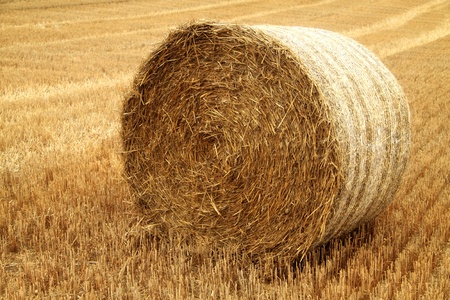 Haystack close up