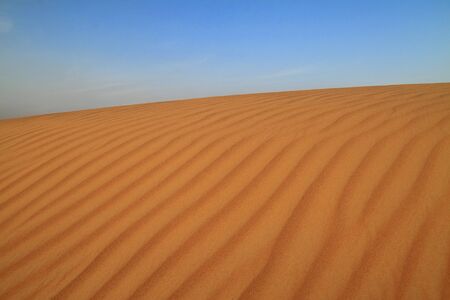 Desert dune with ripple textureの写真素材