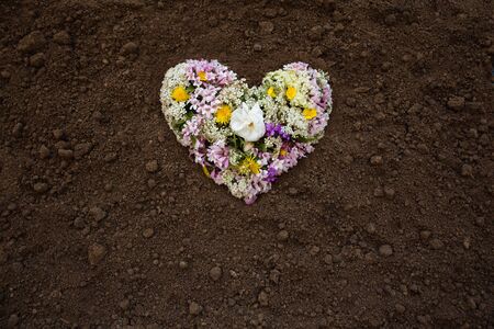 Flower hearth on earth background
