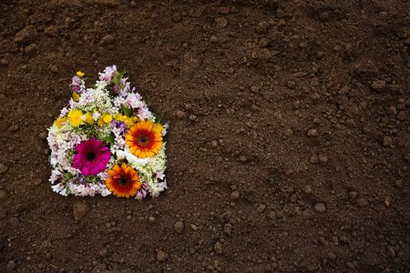 Flower house environmental concept symbol
