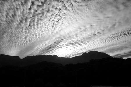 Black and white landscape