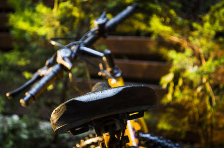 Parking bisckyの写真素材