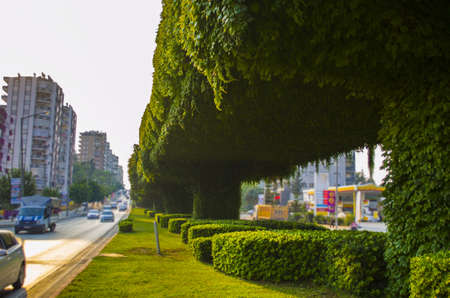 metro bridgeの写真素材