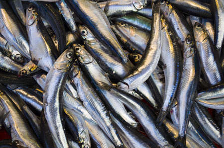 anchoviesの写真素材