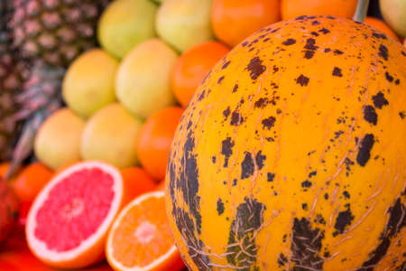 Melon on Set of red, orange and yellow fruits-pineapple,citrus,bananas on background at the fruitsの写真素材