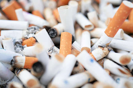 Cigarette butts background / cigarette butts / cigarette