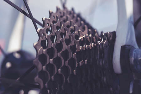 Rear mountain bike wheel detail