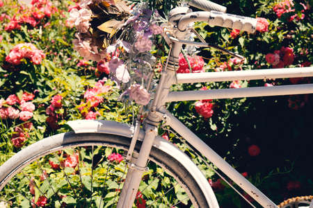 Beautiful colorful flowers on white bicycle concept of wedding and valentine landscape in the garden backgroundの写真素材