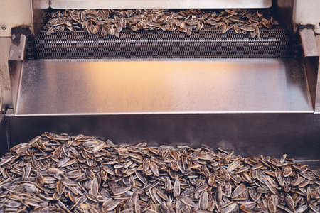 Salted and roasted sunflower seeds in factory