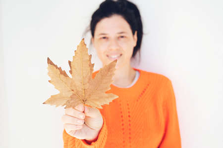 Autumnal leaf in the hands of a girl with brown manicure. Early autumn, fall October. Yellow autumn leaves. Autumn leaf on a background of tree bark in a park in daylight. Autumn manicure in a womanの写真素材