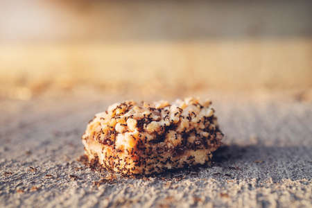 A fallen piece of sweet pastry lies on the ground. A piece of sweet cake on which ants crawl. Lunch...