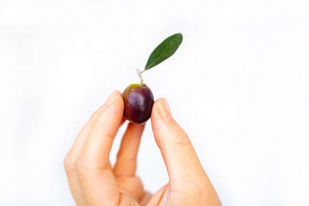 woman holding one olive isolated on white backgroundの写真素材