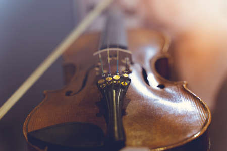 Close view of a violin strings and bridgeの写真素材