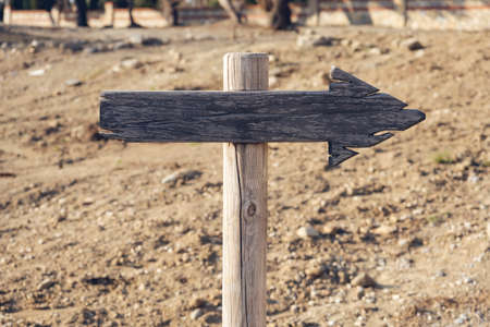Wooden sign with arrow in stand in the forest under a tree. The concept of Hiking, nature landscape environment concept image of empty space for your text hereの写真素材