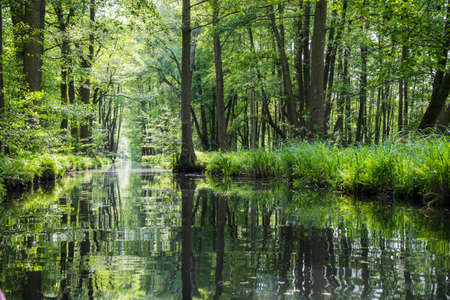 Water canal in the biosphere reserve Spree forest (Spreewald) in Luebbenau in the state of Brandenburg, Germanyの写真素材