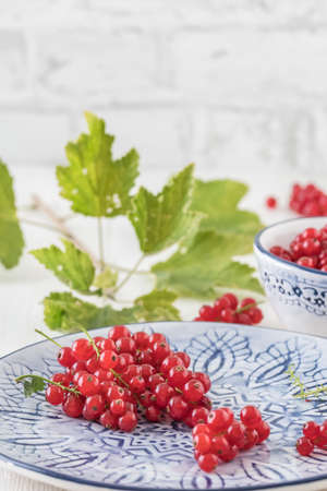 Red currants on a blue and white decorated porcelain plate and in a bowl on white wooden table, decorated with currants branches. Vertical stock phote.の写真素材