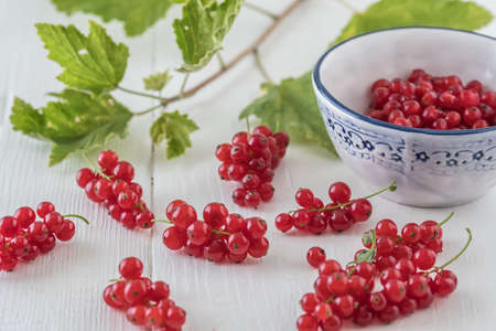 Red currants on a white wooden table and in a blue and white decorated porcelain bowl, decorated with currants branchesの写真素材