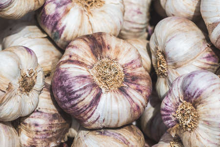 Closeup of ripe garlicの写真素材