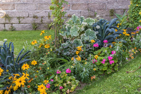 Bed of colorful summer flowers in front of a stone wallの写真素材