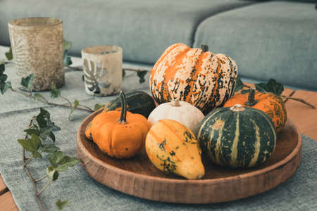Various edible and decorative pumpkins on a round wooden tray as decoration on an oak living room tableの写真素材