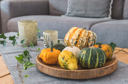 Various edible and decorative pumpkins on a round wooden tray as decoration on a wooden living room table with sofa in the backgroundの写真素材