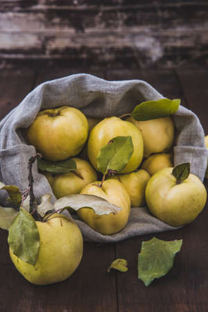 Ripe quinces rolling out of a linen sack, dark wooden background, vertical stock photoの写真素材