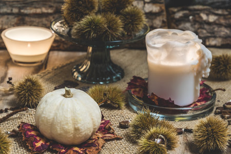 White ornamental pumpkin, candle and tealight glass with autumnal natural decorationの写真素材