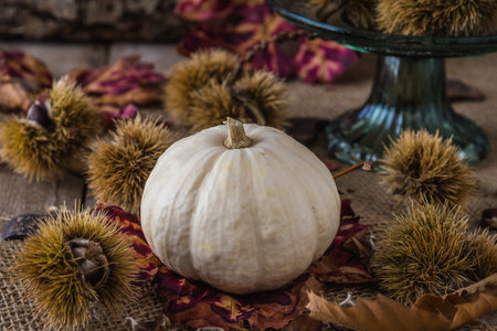 White ornamental pumpkin and chestnuts with autumnal natural decorationの写真素材