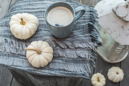 Cup of coffee and mini white pumpkins on a woolen scarf on a block of oak wood on a verandaの写真素材