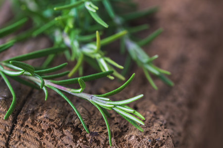 Close-up of rosemary branches on old woodの写真素材