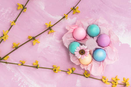 Pastel colored easter eggs with forsythia branches on pink background, top view, easter decorationの写真素材