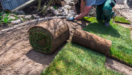 Gardener laying turf in a home garden on sloping terrainの写真素材