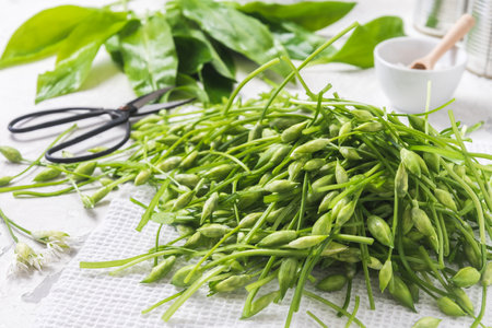 Wild garlic buds and wet leaves and a bowl with salt on white backgroundの写真素材