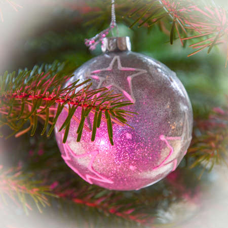 Beautiful silver textured christmas bauble with white stars at a fir tree with pink light reflection, selective focus on fir branchの写真素材