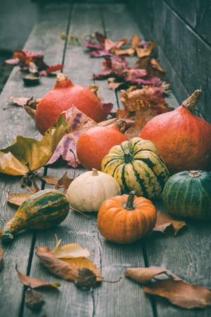 Colorful pumpkins with falling leaves on a wooden veranda, vertical stock photo.の写真素材