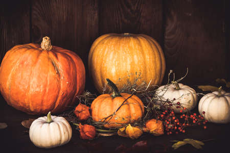 Pumpkins of different sizes and colors with autumn decorations in front of a wooden wall, copy spaceの写真素材