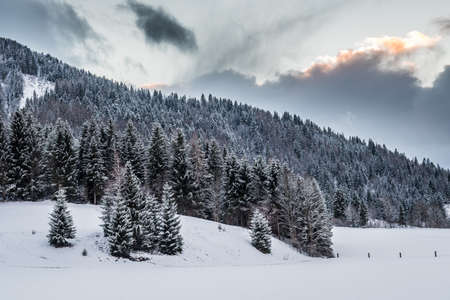 Snowy landscape in the Austrian Alps on a cloudy winter afternoonの写真素材
