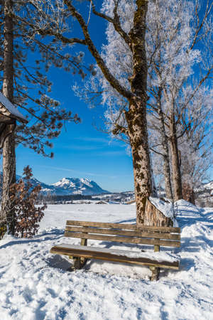 Bench in a snowy landscape on a sunny winter morningの写真素材