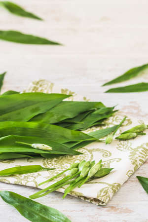 Wild garlic buds and leaves on white wooden background, verticalの写真素材