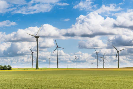 Wind turbines in a cornfield on a cloudy sunny dayの写真素材