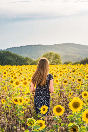 Teenage girl from behind on a sunny summer afternoon in a sunflower field.Vertical.の写真素材